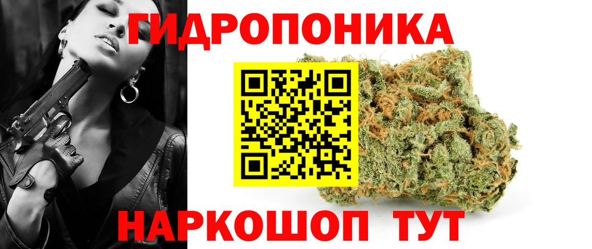 Будённовск  МАРИХУАНА Amnesia  МАРИХУАНА тримм  Вход с VPN 